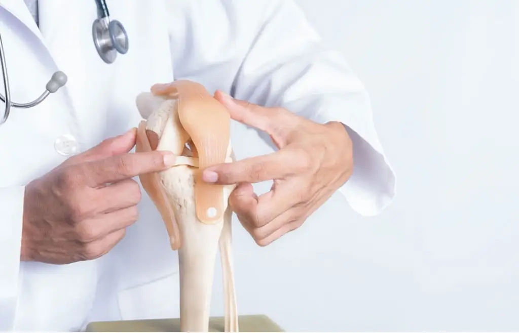 Orthopedie