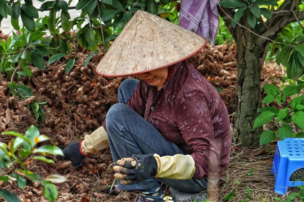 Tuinman in Groningen
